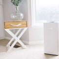Which Air Filter is Best for Allergies? A Comprehensive Guide